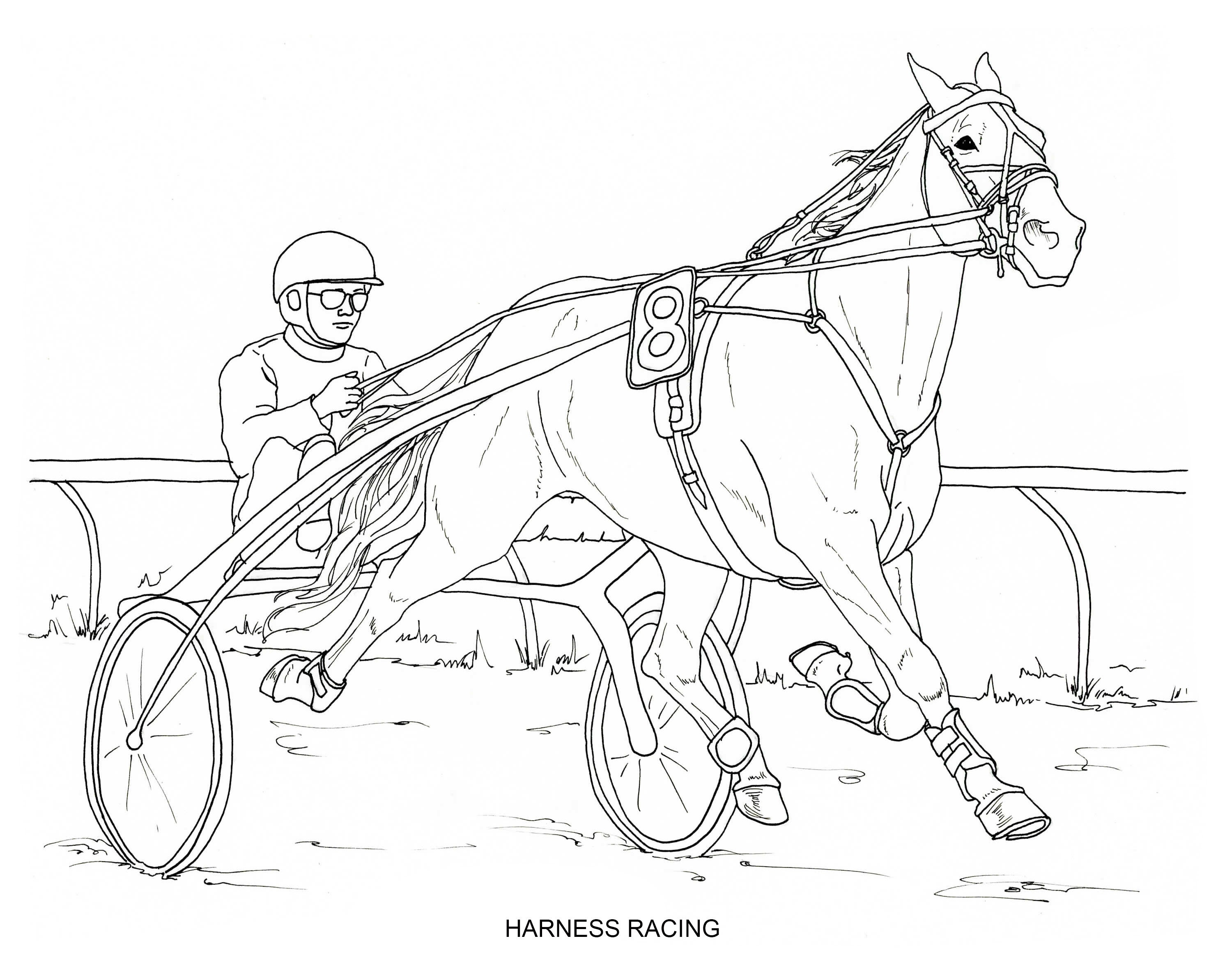 Harness Racing Coloring Pages Harness Racing Coloring Pages