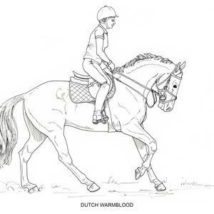 PRINTABLE Set of 10 Horse Breed Coloring Pages #2- Digital Download - Etsy