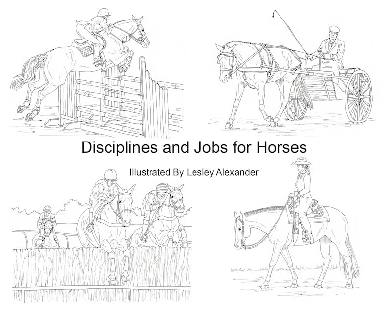 Printable Coloring Pages, Disciplines and Jobs for horses, 40 pages of hand drawn horse illustrations image 1
