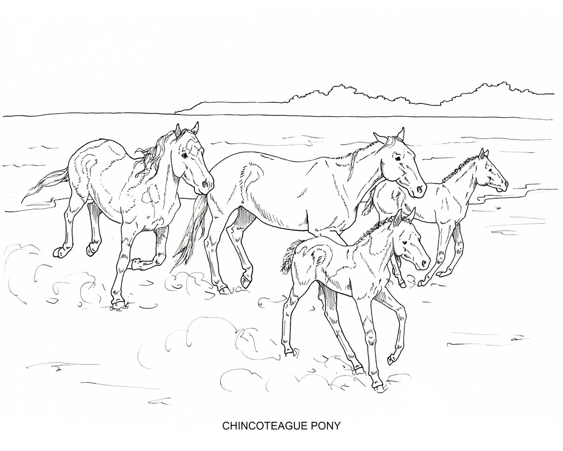 PRINTABLE Set of 10 Horse Breed Coloring Pages Digital Etsy Canada