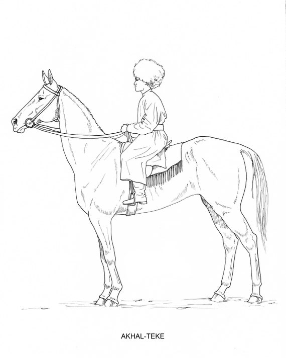 PRINTABLE set of 10 Horse Breed coloring pages 2 Digital -  Portugal