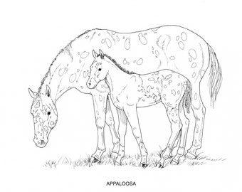 PRINTABLE set of 10 Horse Breed coloring pages - Digital download