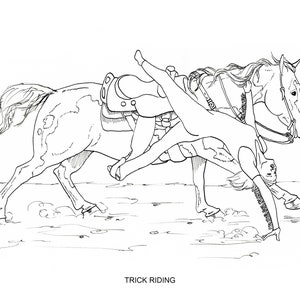 Printable Coloring Pages, Disciplines and Jobs for horses, 40 pages of hand drawn horse illustrations image 8