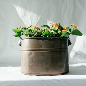 Puede incluir: Una jardinera metálica cilíndrica y desgastada, llena de vibrantes flores naranjas y amarillas y follaje verde. La jardinera tiene dos asas pequeñas y se asienta sobre una superficie blanca. El fondo es una tela blanca.