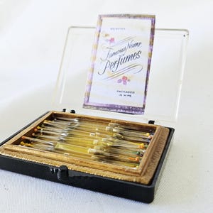Schiaparelli Case