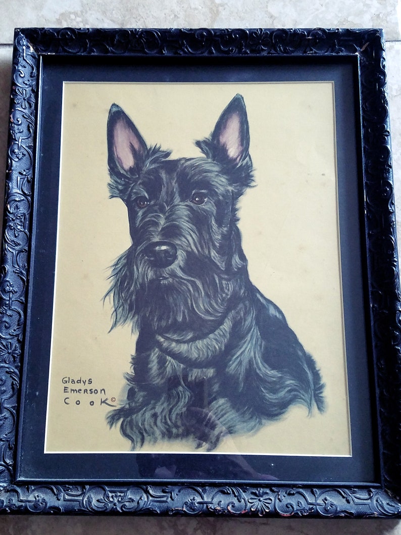 Gladys Emerson Cook Art Print Scottish Terrier Dog Framed Image 0 1
