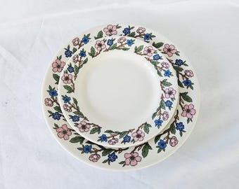 1970er Jahre Floral Restaurantware von Sterling China Muster STR54 VintageTableware Geschirr hergestellt in den USA Hochleistungs-gewerblich