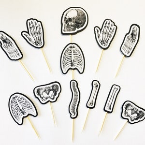 Xray Radiology Technician Skeleton Medical Imaging Bones Bone Densitometry Diagnosis Party Graduation Hospital Clinic Cupcake Toppers