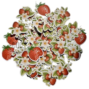 Fraise, bébé doux aux baies, quelqu'un de doux aux baies, baby shower, mariage, fête, anniversaire, décorations, confettis, 100 confettis