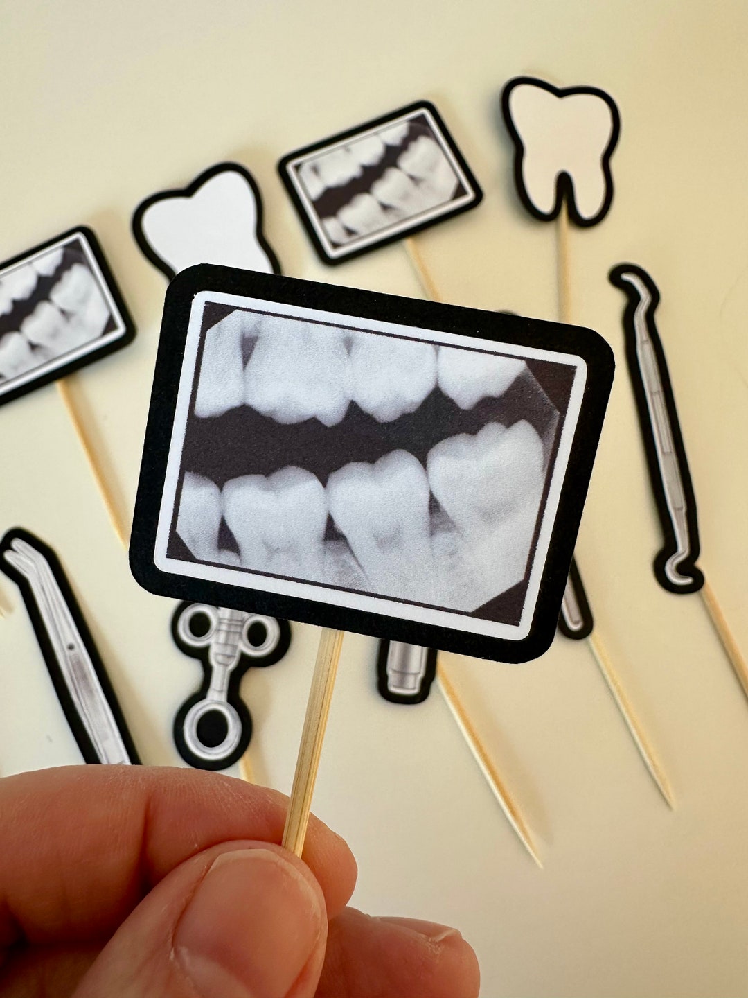 Dentist Hygienist Doctor Odontologist Dental Assistant Tooth Teeth Xray