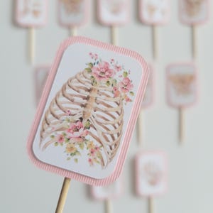 Xray Radiology Technician Skeleton Medical Imaging Bones Bone Densitometry Diagnosis Party Graduation Hospital Clinic Pink Cupcake Toppers