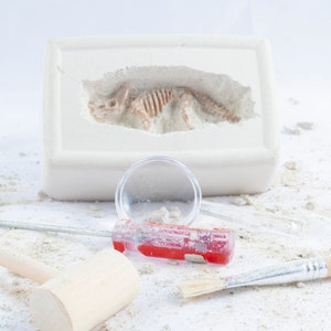 Dinosaur Fossil Dig Kit