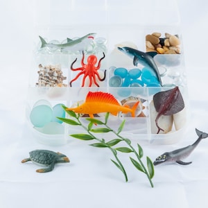 Ocean Exploration Play Dough Sensory Kit