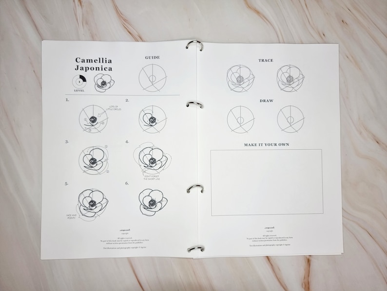 May include: A black and white guide for drawing a camellia japonica flower. The guide includes six steps, starting with a circle and ending with a fully drawn flower. The page also includes a section for tracing and drawing the flower, as well as a blank space for making your own design.