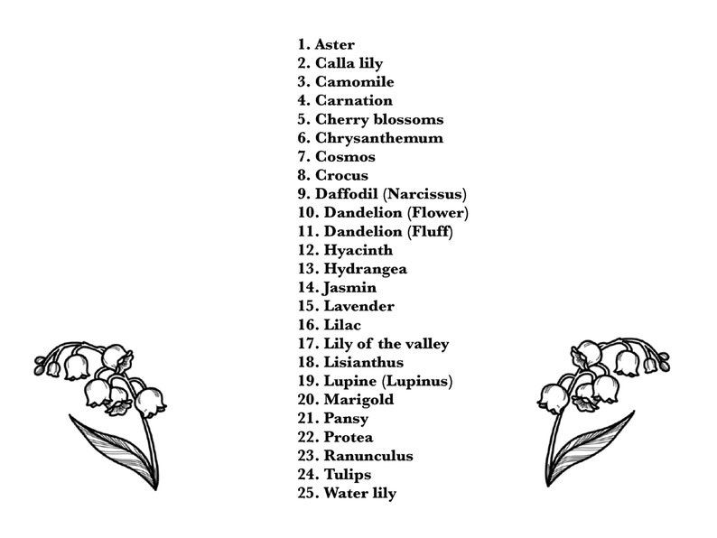 K&ouml;nnte beinhalten: Eine Schwarzwei&szlig;-Zeichnung einer Maigl&ouml;ckchen-Blume. Die Blume ist mit einem Stiel und Bl&auml;ttern dargestellt. Das Bild wird von einer Liste mit 25 verschiedenen Blumennamen begleitet.