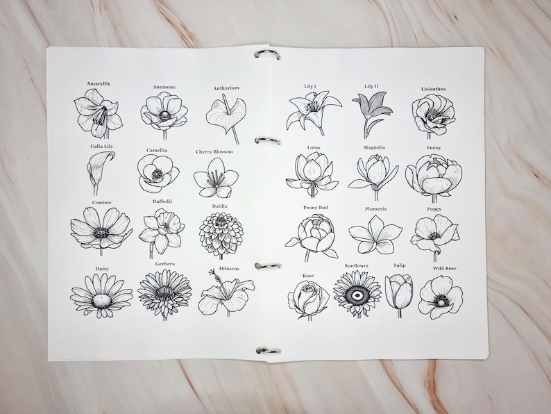 May include: A black and white line drawing illustration of 20 different types of flowers. The flowers are labelled with their names, including Amaryllis, Antherios, Calla Lily, Camelia, Cherry Blossom, Common, Daffodil, Dahlia, Daisy, Gerbera, Hibiscus, Lily, Lily II, Lisianthes, Lotus, Magnolia, Peony, Plumeria, Poppy, Rose, Sunflower, Tulip, and Wild Rose.
