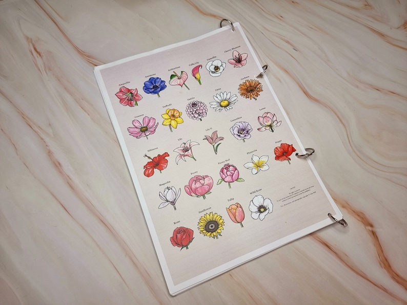 May include: A printable chart featuring 25 different types of flowers, each with a hand-drawn illustration and the name of the flower printed below. The flowers are drawn in a variety of colours, including red, pink, yellow, white, and blue.