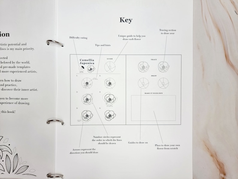 May include: A black and white guide to drawing a camellia japonica flower. The guide includes numbered circles to indicate the order of drawing, arrows to show the direction of the lines, and a section for tracing and drawing the flower from scratch.