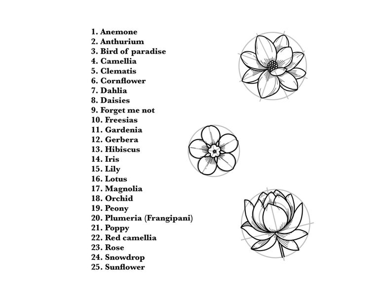 How flowers are inside this how to draw flowers book.