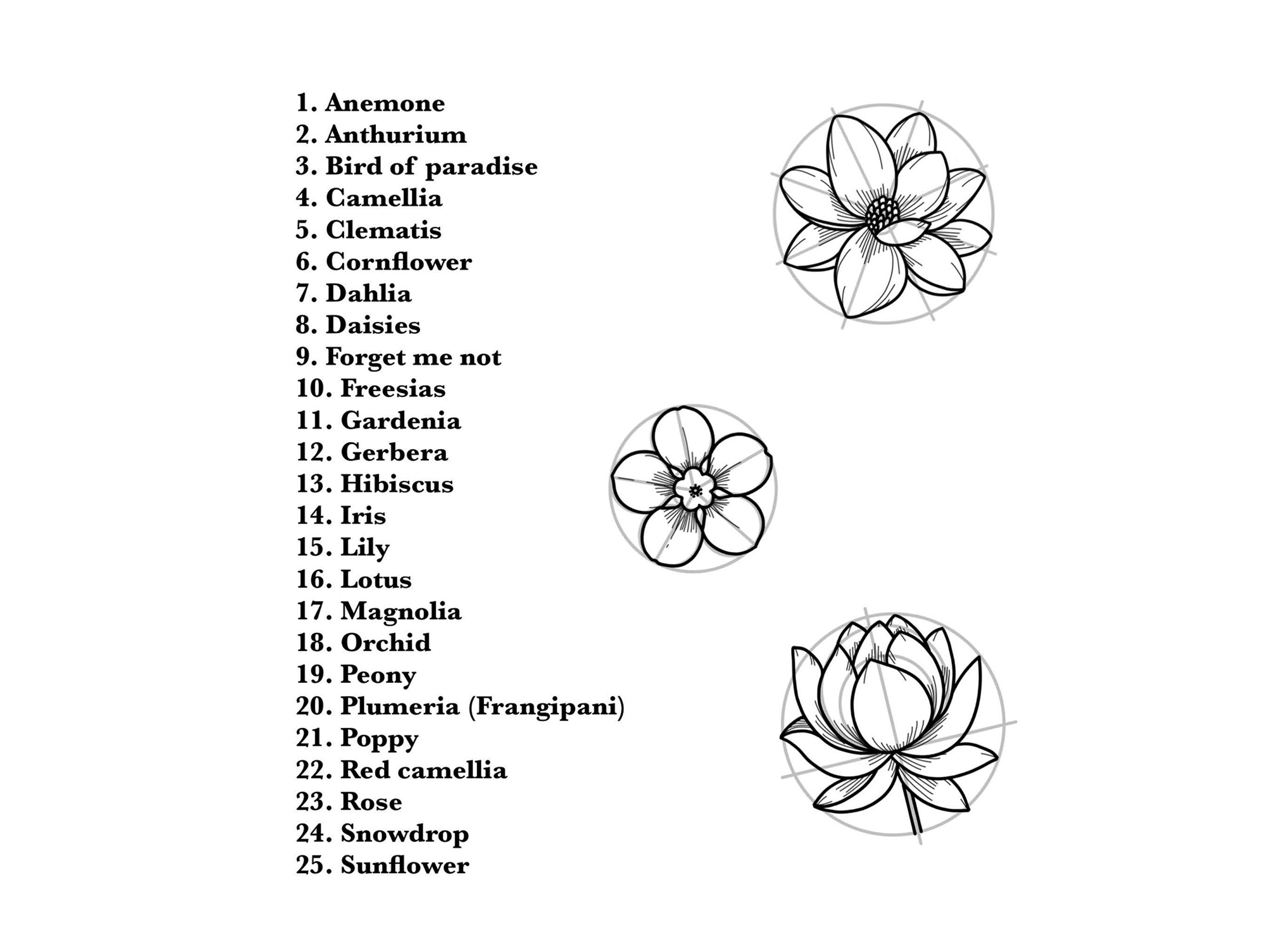 キノコの描き方：ステップバイステップのチュートリアル | Mimi Panda, image size:2699x2025