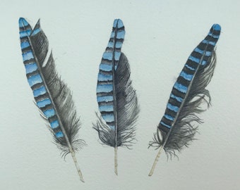 Original Watercolour Painting of Jay feathers, Watercolour Feathers, Original Painting, Original Art, Wall Art, Home Decor, Blue Feathers.