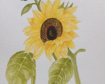 Original Watercolour Painting of Sunflower, Watercolour Flowers, Flower Painting, Home Decor, Sunflower Painting, Wall Art, Yellow Sunflower