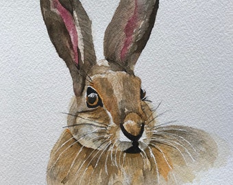 Original Watercolour Painting of a Hare, Watercolour Hare, Watercolour Animals, Watercolour Painting, Hare Painting, Original Painting, Hare