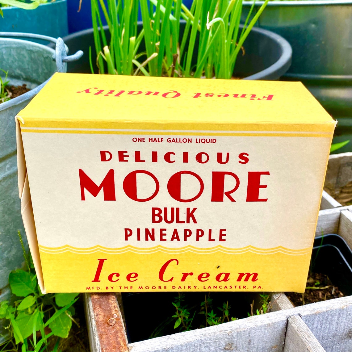 Vintage Ice Cream Carton Box Container Pineapple Half Gallon Etsy