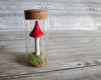 Fairy Jar, Mushroom Specimen Jar, Cottage Core, Light Up Mushroom, Woodland Jar, Nature Jar, Mushroom Décor, Mushroom Terrarium