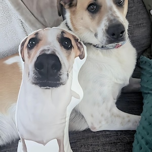 Custom Shaped Pillow Send Photo Picture Pillows Unique Shapes Personalized Photo 3 sizes Customized Gift Christmas Birthday Fun Pet Family