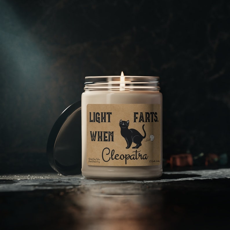 Cat Farts Candle Personalized Gift Light When Name Farts Funny Gift for Cat Parent Kitty Cats Lover Cat Deodorant Odor Eliminator Custom image 6