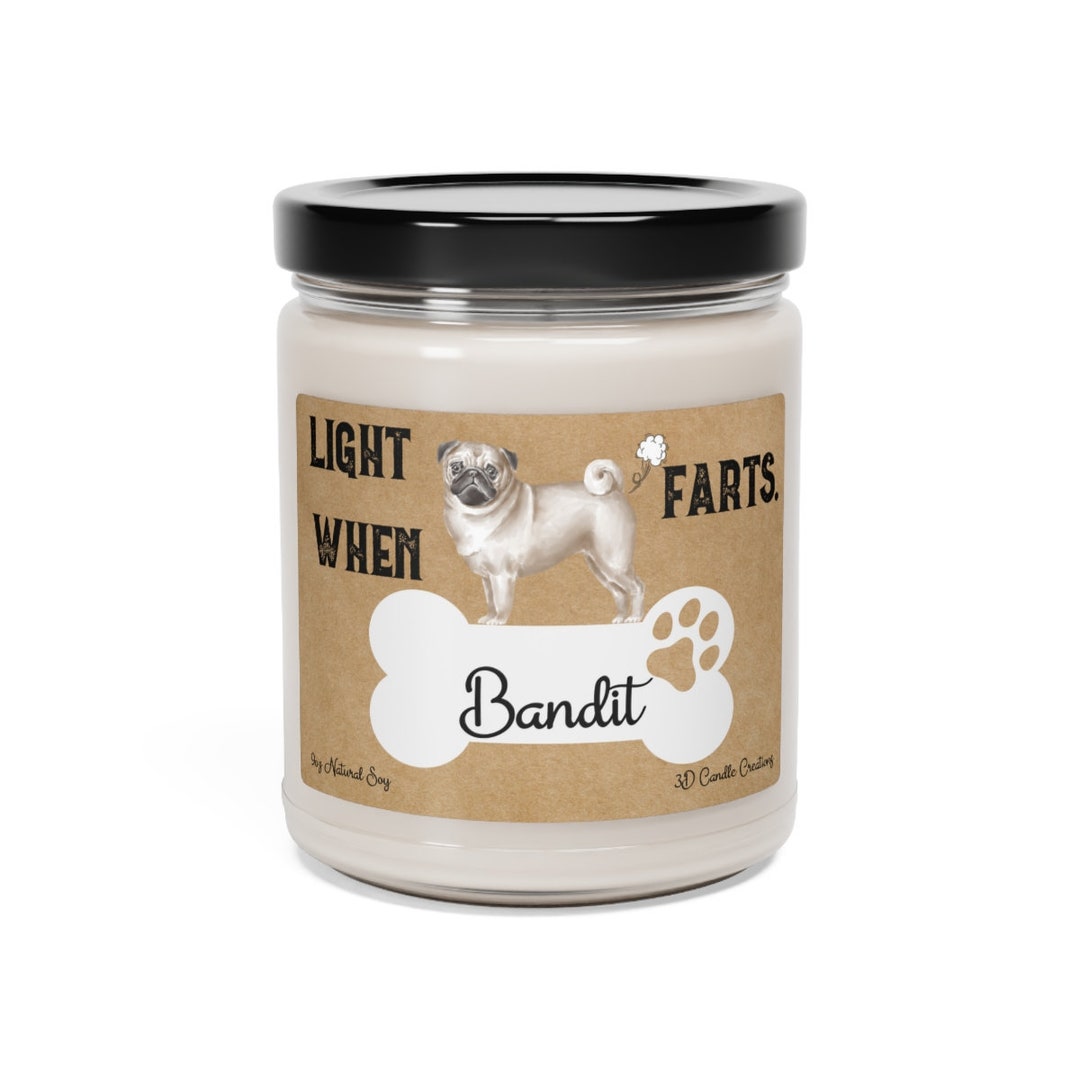 Why Do Pugs Smell Like Corn Chips