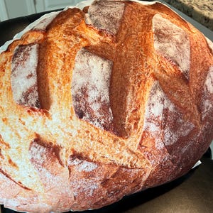 May include: A large, round cushion designed to resemble a loaf of bread. The cushion has a detailed print in shades of brown, tan, and white, replicating the texture and colour of baked bread. The cushion is resting on a black surface.