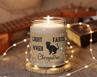 Cat Farts Candle Personalized Gift Light When Name Farts Funny Gift for Cat Parent Kitty Cats Lover Cat Deodorant Odor Eliminator Custom