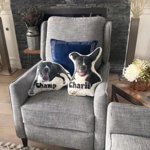 Custom Shaped Pillow Send Photo Picture Pillow Unique Shapes Personalized Photo Pillows 3 sizes Customized Gift Christmas Birthday Fun Gifts