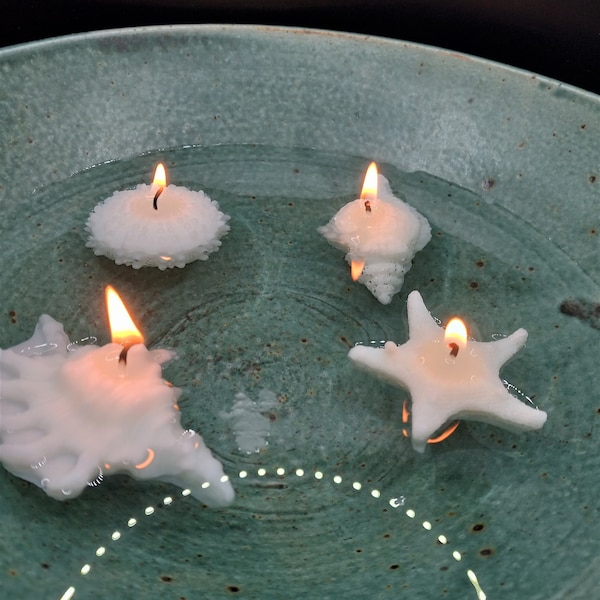 Seashell Candle Etsy