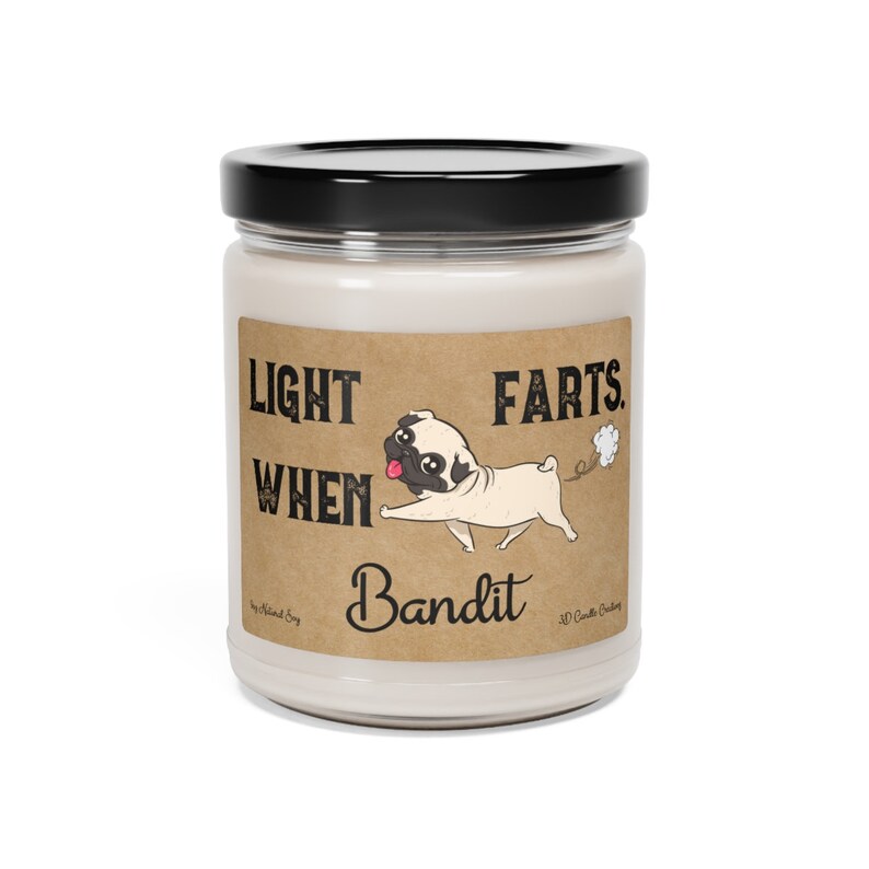 Pug Candle Personalized Gift Light When Name Farts Pug Dog Funny Gift for Dog Lover Dog Deodorant Odor Eliminator Animal Scented Candle image 5