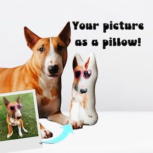 Custom Pet Photo Pillow: Unique Shaped Keepsake Gift