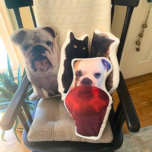 Custom Shaped Pillow Send Photo Picture Pillow Unique Shapes Personalized Photo Pillows 3 sizes Customized Gift Christmas Birthday Fun
