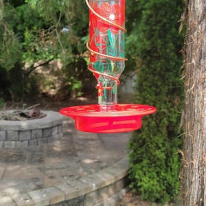 Hummingbird feeder, hummingbirds