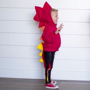 Kids Halloween Costume, fire dragon costume, red dragon costume, Christmas gift, dragon hoodie, toddler boy costume, boy girl gifts