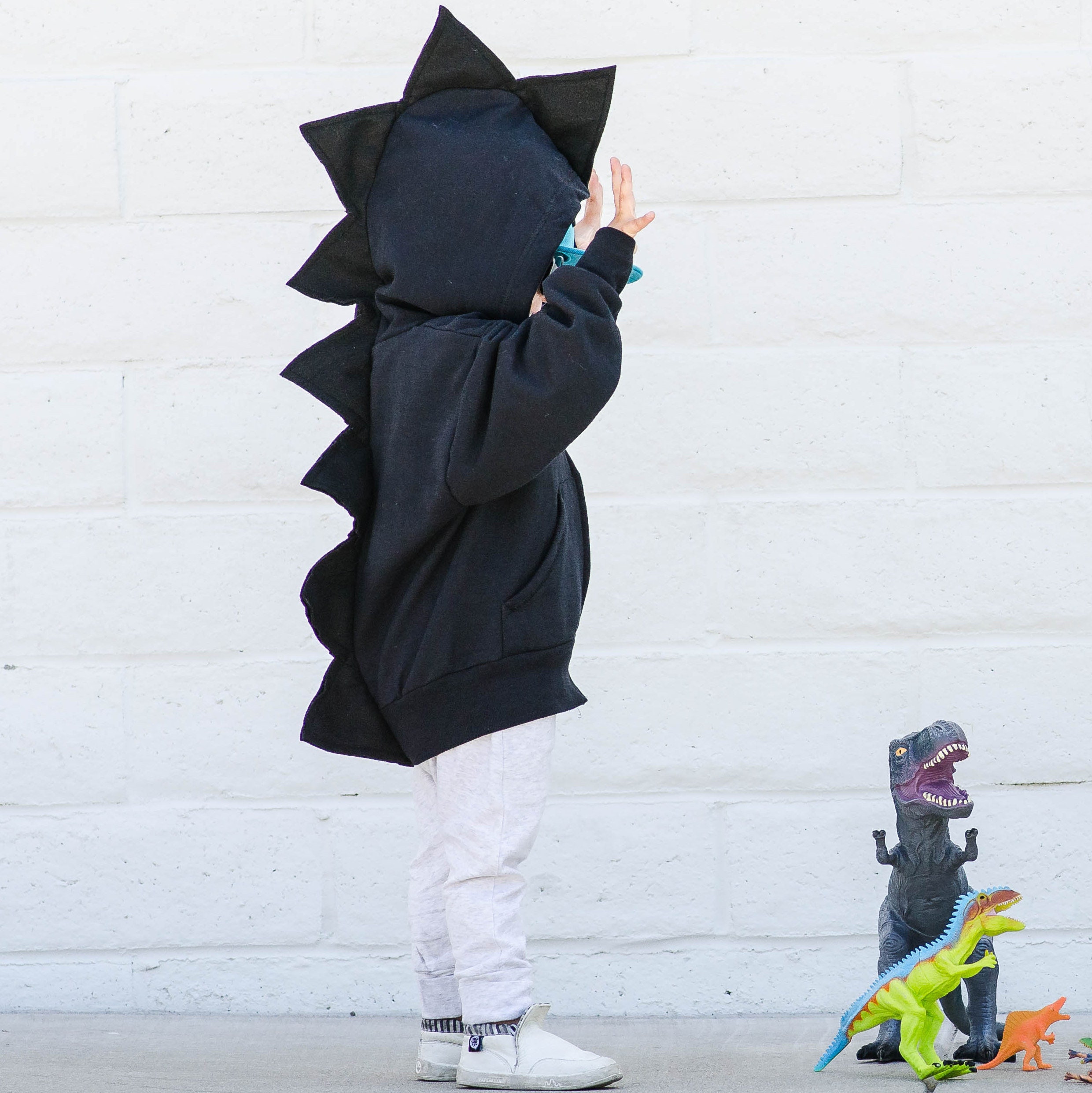 【TWN】23SS★ Dino Hoodie hoodies – Shop Dinosaur