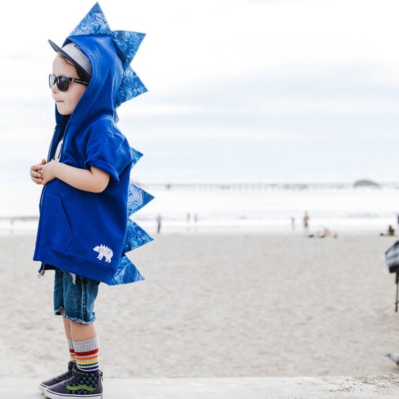 Dinosaur Hoodie Blue Dino Sweater Boys Dinosaur Costume Kids Sweatshirt Toddler Zip Up Geode Dinosaur Birthday Party Dinosaur Gifts Etsy UK