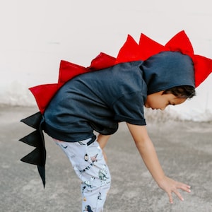 Dragon Costume, Halloween Hoodie, Dragon Tail Costume, Kids Dress Up, Toddler Dragon Costume, Toddler Boy Halloween Costume