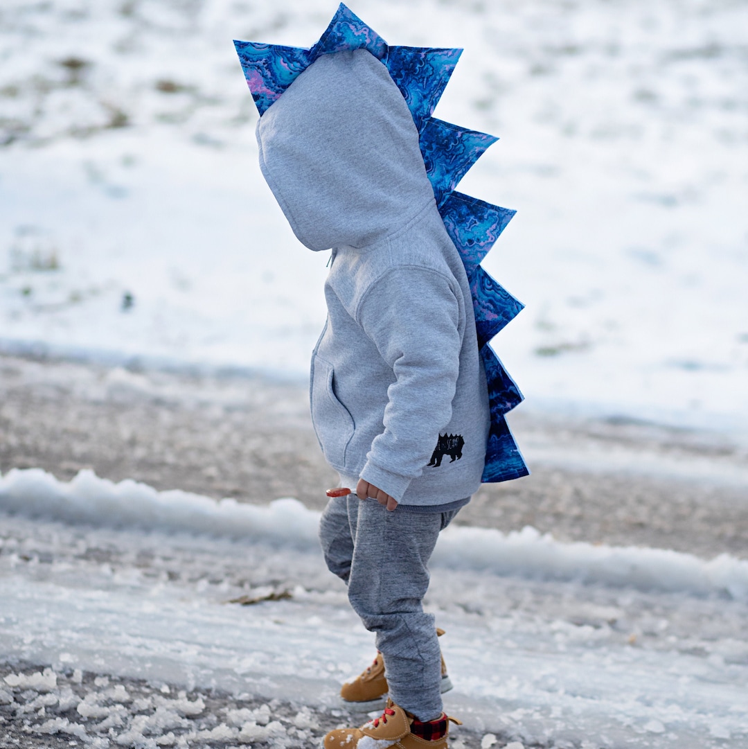 Shades of Blue Dino Hoodie toddler Dinosaur Birthday Shirt 