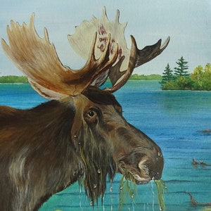 Moose Art Print