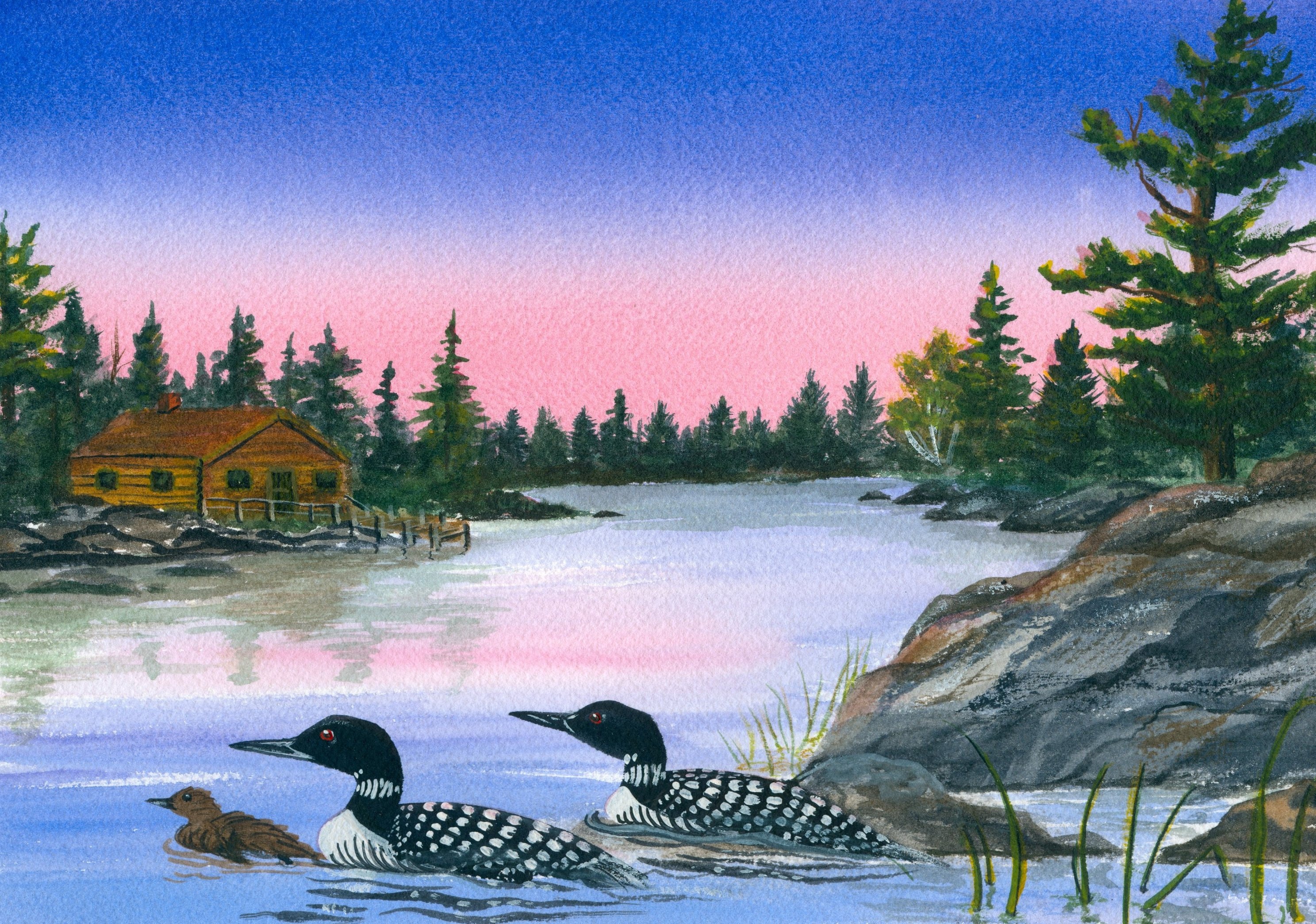 Loon Print, Loon Painting, Loons, Loon Watercolor, Camp Prints, Cottage