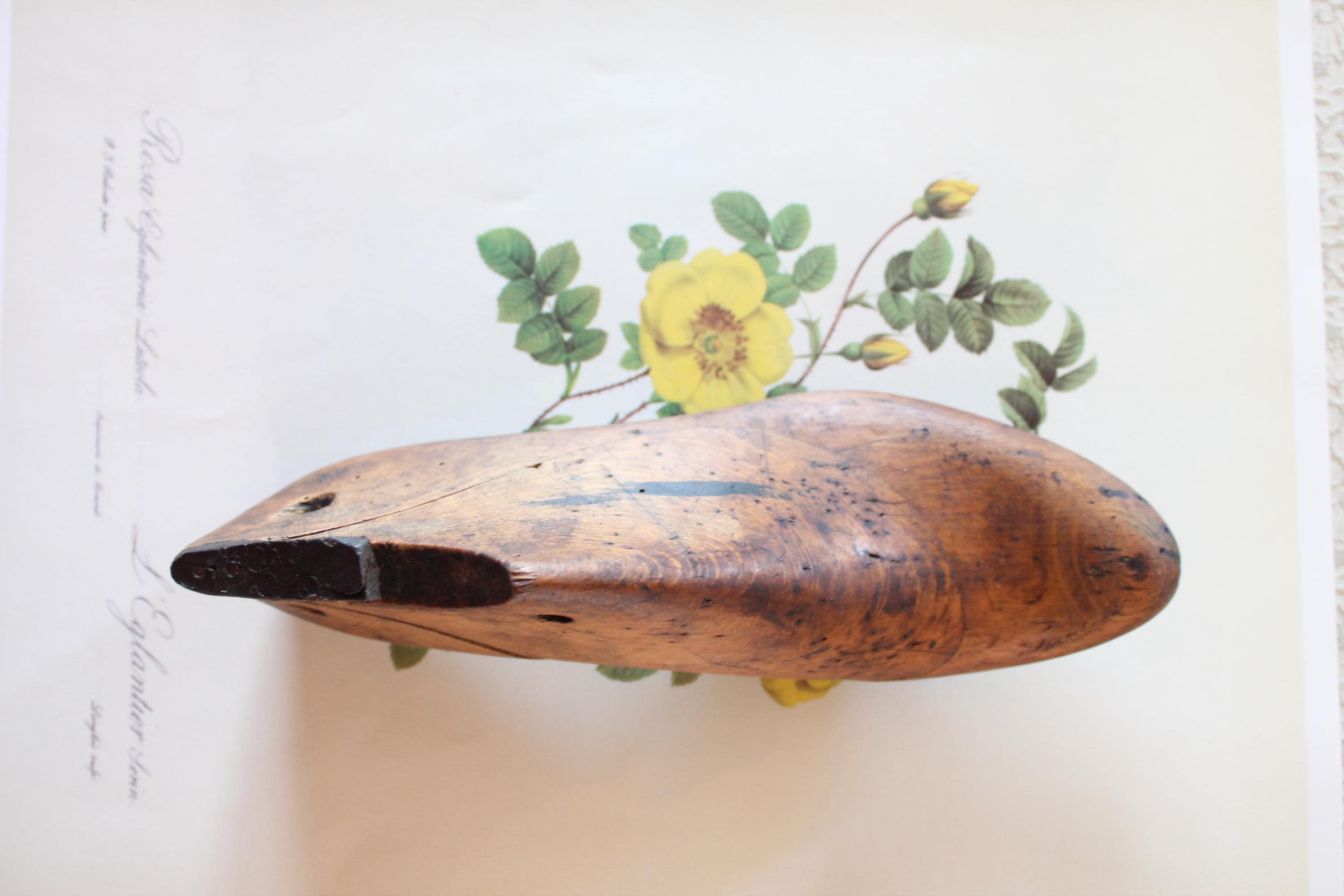 アンティークの木製と金属製の靴職人の足、珍品、貿易品、道具、4976