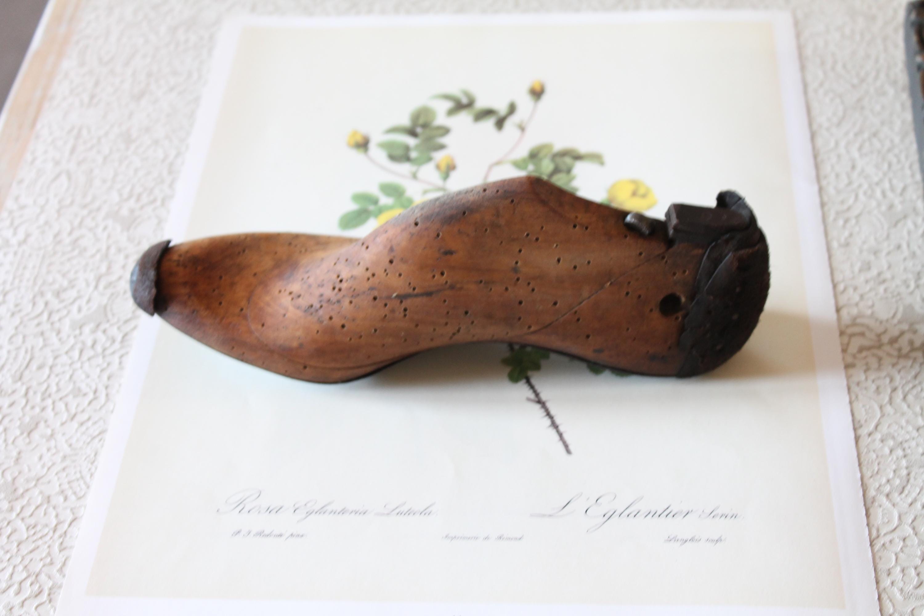 アンティークの木製と金属製の靴職人の足、珍品、貿易品、道具、4976