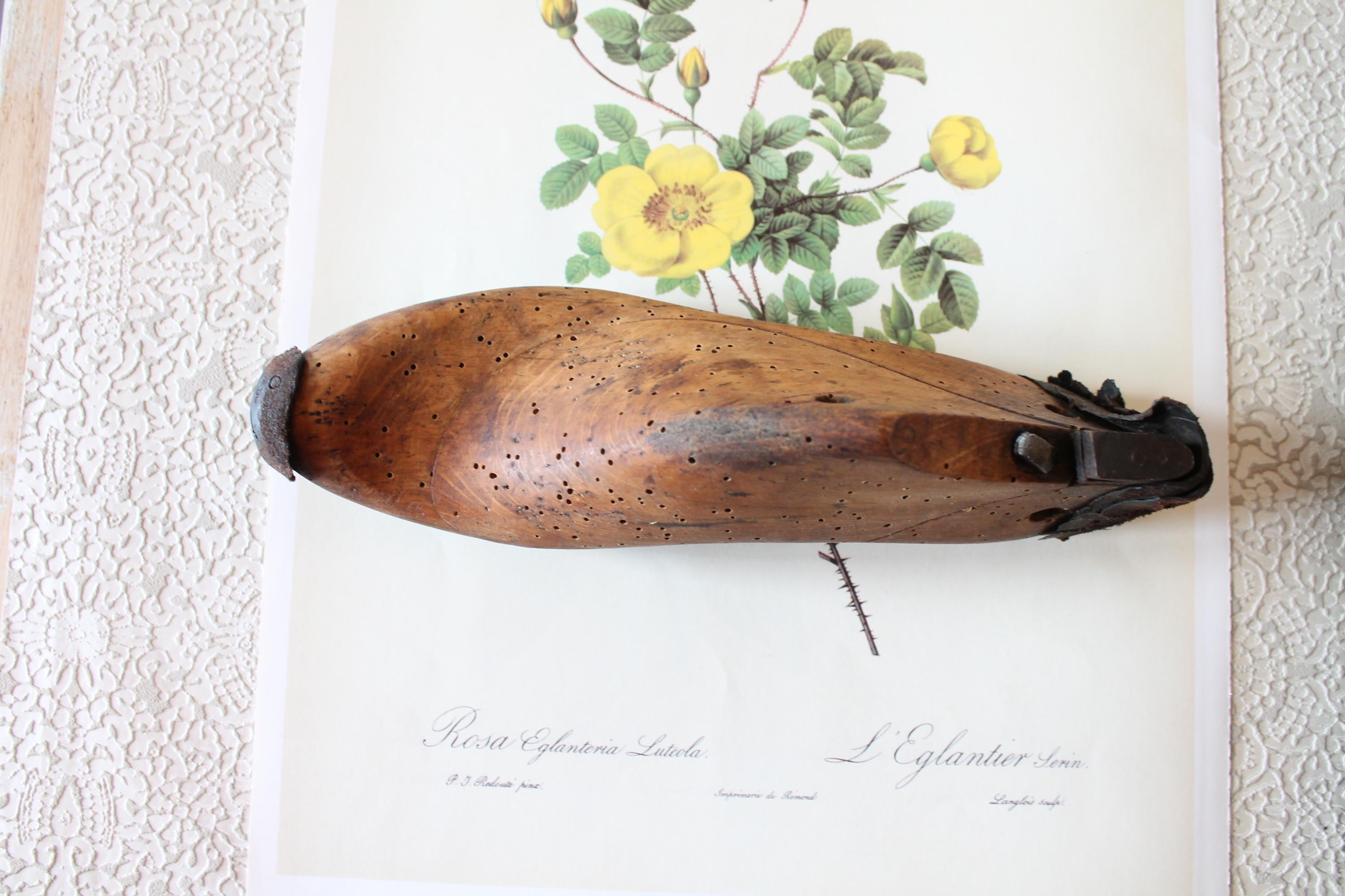 アンティークの木製と金属製の靴職人の足、珍品、貿易品、道具、4976